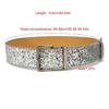 Blingbling Pin Buckle Waist Belt for Women Sequined Belt All Matching Wide Belt Shimmering Belt for Party Wear Dresses
