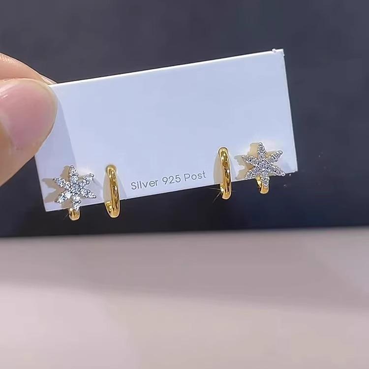 Female Light Luxury Niche Fashion Temperament Versatile Star Earrings