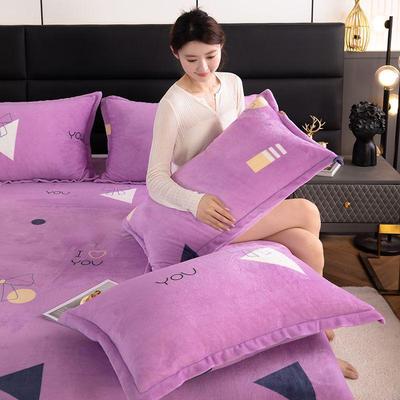 Winter Milk Velvet Flannel Pillow Set - Double-Sided Warm Pillow Core & Cover for Single/Double, Ideal for Students & Adults