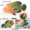 Marine Animal Simulation Models: Jellyfish, Octopus, Sea Shrimp, Sea Anemone, Squid, Horseshoe Crab, Crayfish, Arrowhead