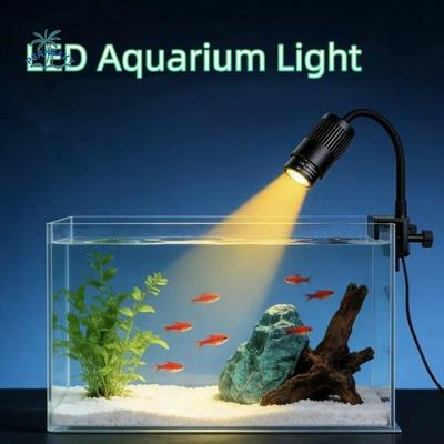 Fische & Meerestiere – Aquarienbeleuchtung