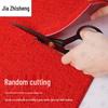 Jiazhisheng PVC Anti-Slip Coil Mat