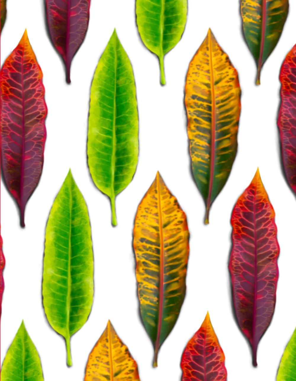 

Croton Leaf Journal: 7 x 9 notebook with 120 lined pages and monthly header.