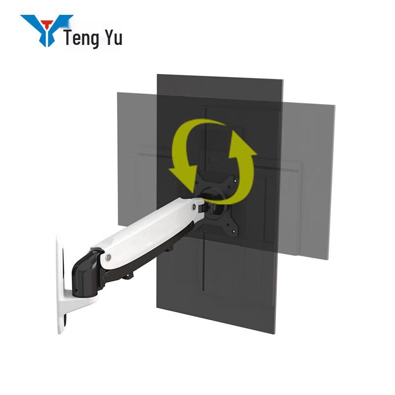 Tengyu Wall-Mounted Monitor Arm with Lift, Extend, Rotate - SK-530LSX