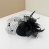 Headband Small Fedoras Headwear Mesh Dots Flower Veil Hair Clips  Bridal Headwear