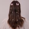 2Pcs Girls Vintage Mesh Butterfly Hair Clip Long Tassel Chain Grab Clip Delicate Hair Clip Daily Wear Headwear Hair Accessories