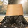 Baumschutzband 164 Fuß x 2 Zoll Raupenabwehr Baumwickel Klebend Rutschfest Kraftpapier Barriere Für Pflanzenraupen