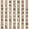 56 Human Bone Diagrams Graffiti Stickers Can Decorate Suitcase Pen Guitar Notebook Waterproof Explosive