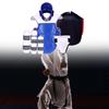 Gear for Taekwondo And Karate, 5-piece Set, Professional Quality, Padded, Adjustable, Sandals,