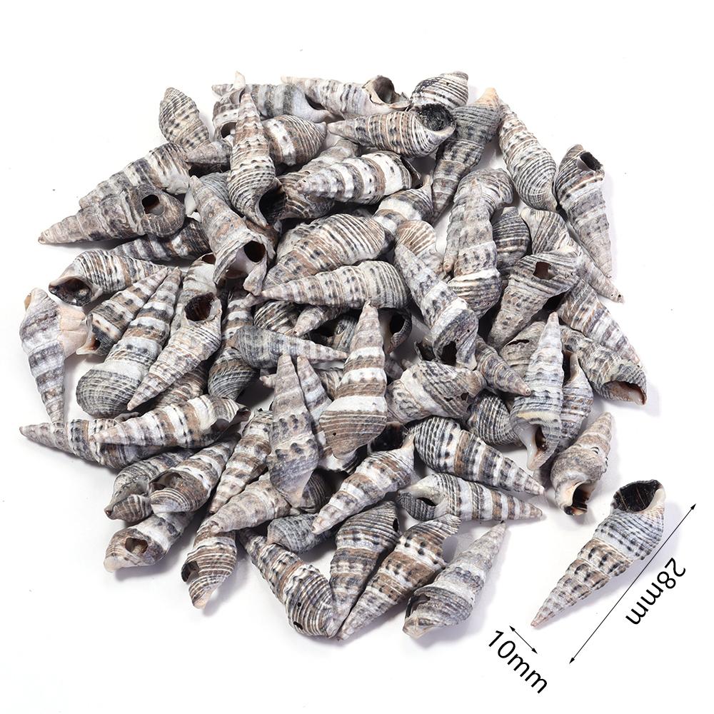 40g/bag Sea Shell Beads Tiny Conch Beads Undrilled Natural Shell Beads For Jewelry Making DIY Crafts Ornament Home Decoration