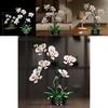 Cymbidium Building Block Toy With Abs Plastic For Children Diy Creative Play Gift