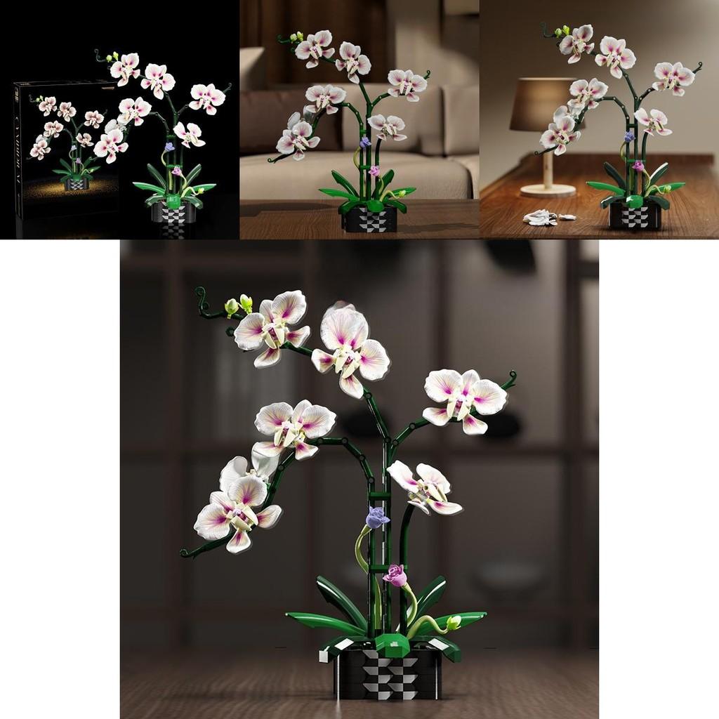 Cymbidium Building Block Toy With Abs Plastic For Children Diy Creative Play Gift