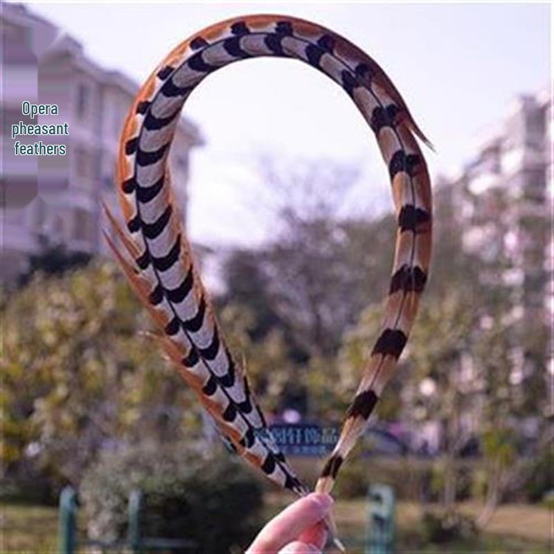 Peking Opera Pheasant Feather Tail Accessory