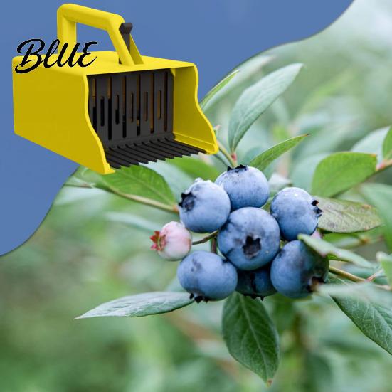 Dispositif Facile de Cueillette de Fruits Cueilleur de Baies avec Peigne Râteau Poignée Ergonomique Myrtilles Framboises Petit Moissonneur Outil de Récolte Outil Pelle pour