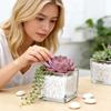 Planter Transprent Square Glass Vase Geometric Hydroponic Flower Pot Cube Vase Desktop Decor