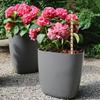 6 Piezas Estacas para Plantas de Electrocultura Bobinas de Cobre para Jardín Antenas para Cultivar Plantas de Jardín Verduras Usando