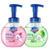 Safeguard Foaming Antibacterial Hand Wash Set