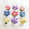Handmade flowert simulated flower small potted plant home decoration ornament creative gift knitted flower