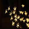 Nordic Style LED Phalaenopsis Branch Lights - Simulated Tree Branch Colored Lights for Room Decor and Atmosphere