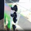 10Pcs ABS Plastic Rubber Fish Tank Sucker Clip Oxygen Tube Clip  for Power Cord Filter Wire