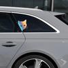 15*18CM Car Interior Stickers Cat Stickers Fun Vinyl Stickers Car Styling Decorative Accessories