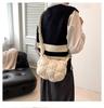 Korea Niche Cloud Crossbody: 2024 Women's Puff Pleated Dumpling Bag