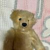 [USED] Steiff Teddy Bear 0168/32 Used