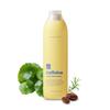 [NINE LESS] Root-Biome Caffeine Scalp Shampoo 300ml