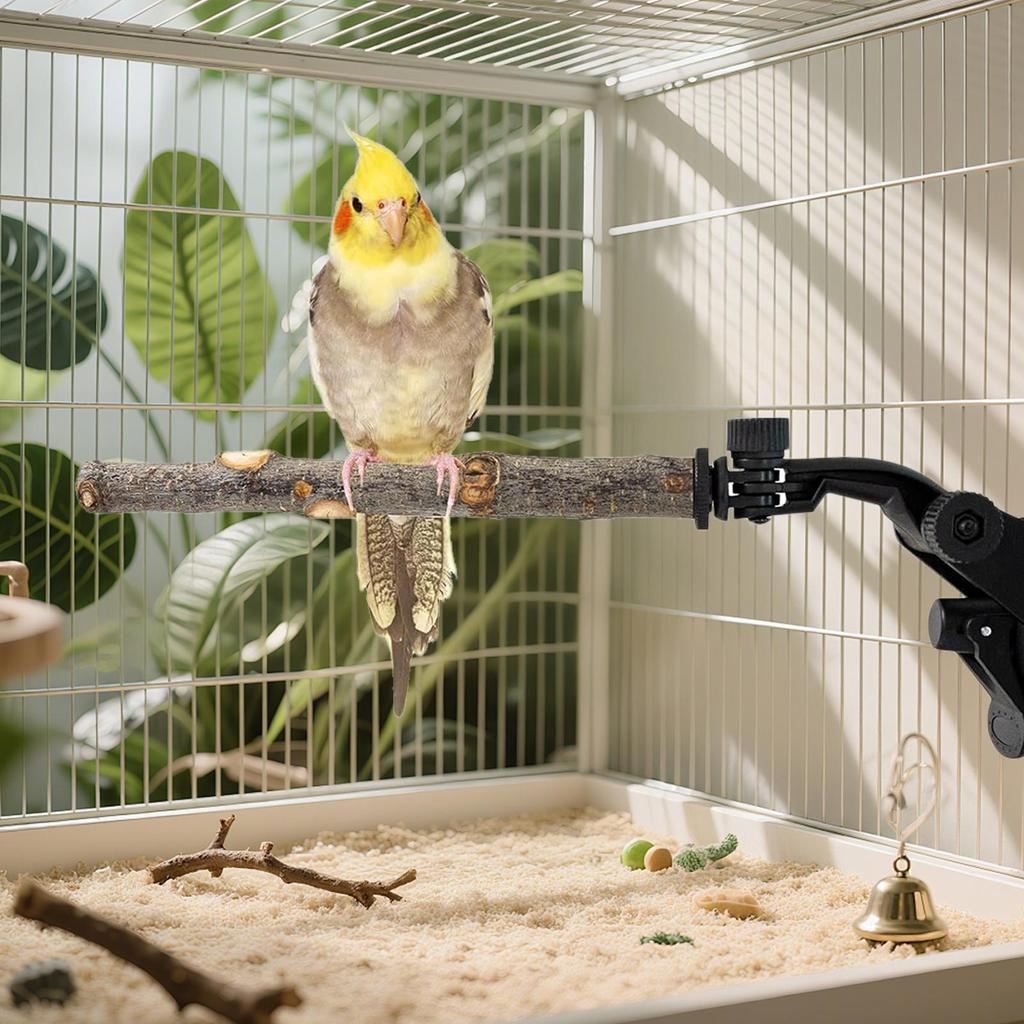 Window Perch For Birds 2 Pieces Adjustable Portable Mount Wooden Stand Travel Perch Stand With Suction Cup For Balcony Apartment