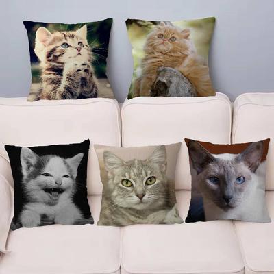 Cute Pet Cat Pillow Cover Design Cushion Cover Decor Holiday Decorati