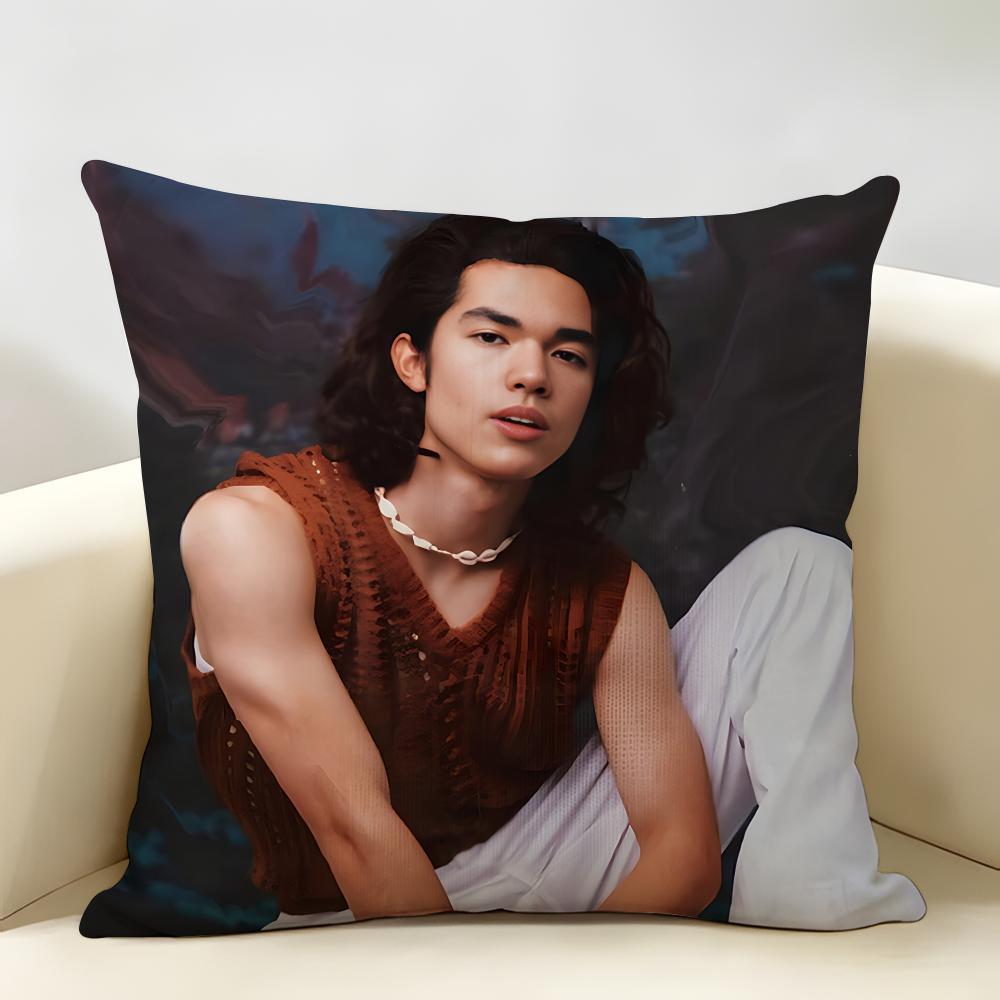 Singer CConan GGray Cushion Cover Natural Linen Organic Fabric DoubleSided Printing Room Sofa Decor Pillow Case