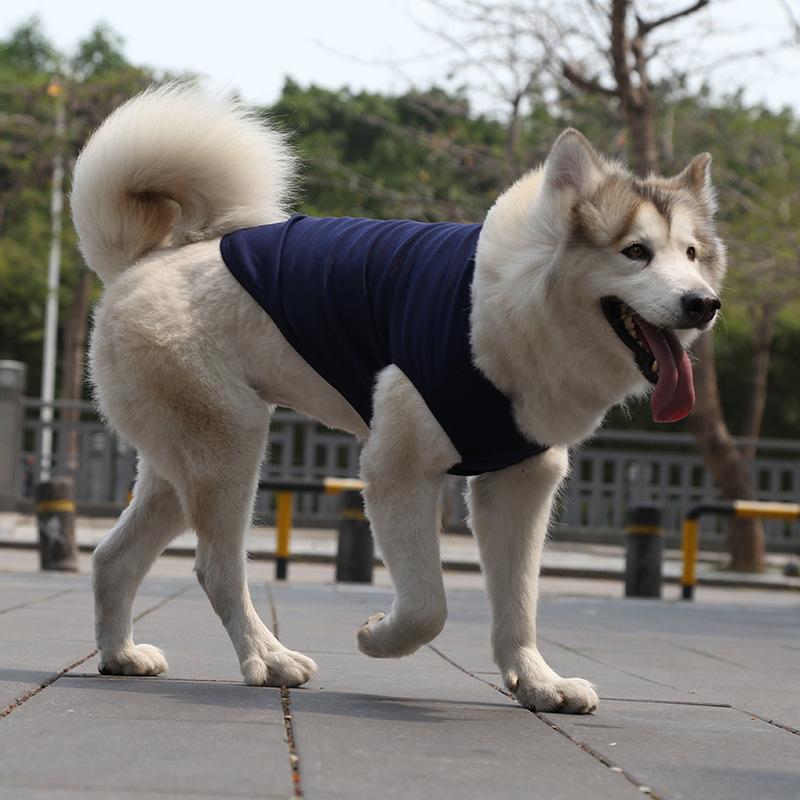 Golden Retriever Samoyed Cat Clothes Vests Dog and Cat Clothes Pet Supplies Cotton