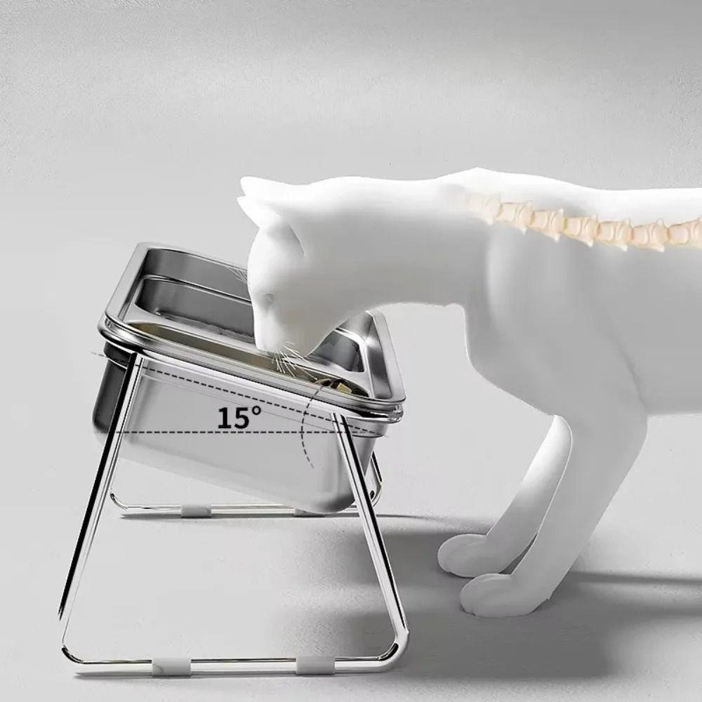 Stainless Steel Pet High Footed Bowl 15 ° Slant Anti Slip Elevated Pet Feeder Bowl 2 Grids Detachable Pet Water Feeder Container