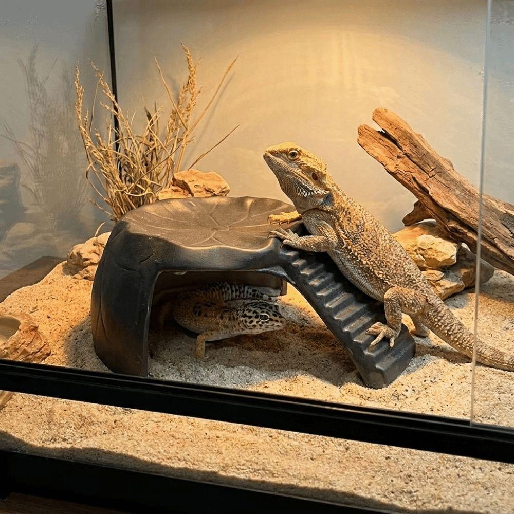 Imitation Rocks Turtles Basking Platform Decorative Reptile Hide Cave  Easy To Clean