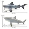 Megalodon Tiger Shark Great White Shark Marine Animal Doll Collection Toy Gift Shark Decoration ModelGreat White Shark
