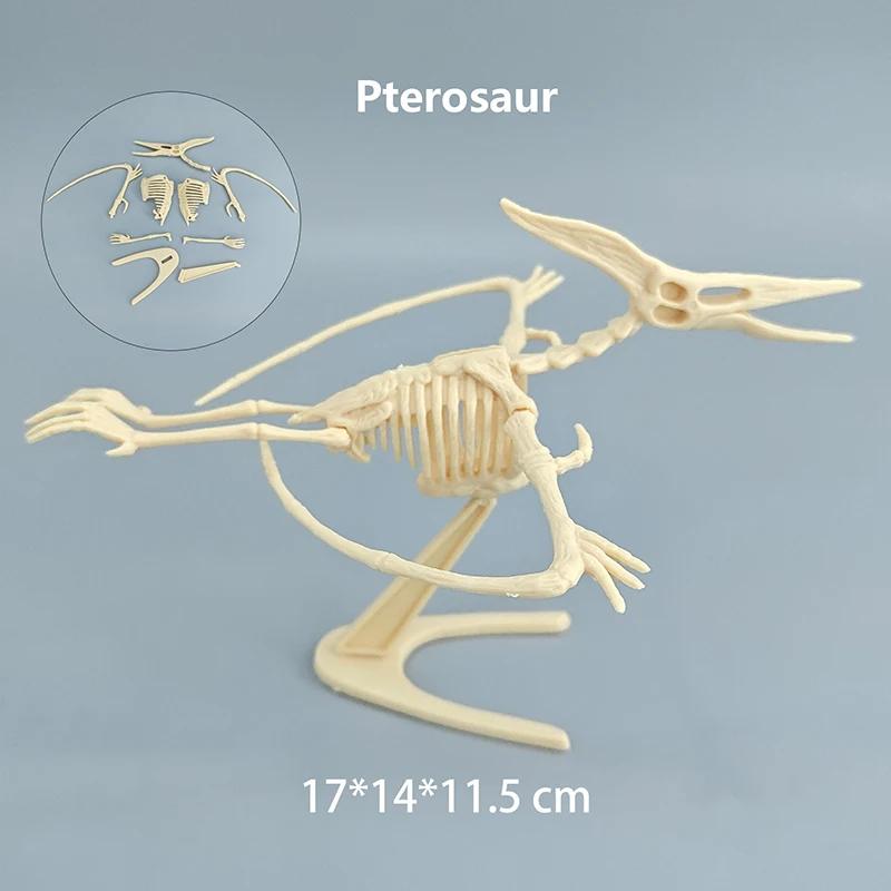 Assembly Jurassic Dinosaur Fossil Skeleton Mosasaurus Tyrannosaurus Action Figure Collection Creative Model Kid Toy DIY Poseable Articulated Scale