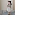 Stylish Korean Toddler Girls Summer Outfit Soft Cotton Short Sleeve T-shirt And Skirt Set