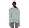 Icebreaker Базовый слой с длинным рукавом Merino 200 Oasis