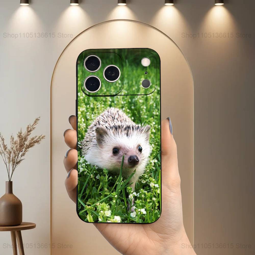 

Animal Hedgehog Cute Phone For iPhone 13,12,15,14,11,16,17,Plus,Pro Max,XS,X,XR,SE,Mini,8,7,Soft Silicone Black iPhone13PROMAX