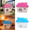Hamster Small Animal Habitat Hideouts Hideaway Hut for Chinchilla
