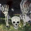 Plastic Adjustable Convenient Hand Bone Skull Head Skull Ornament Halloween Decoration