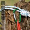 10/50Pcs Carabiner Keychain Alluminum D-ring Buckle Spring Carabiner Snap Hook Clip Keychains Outdoor Camping Daily Use Tool