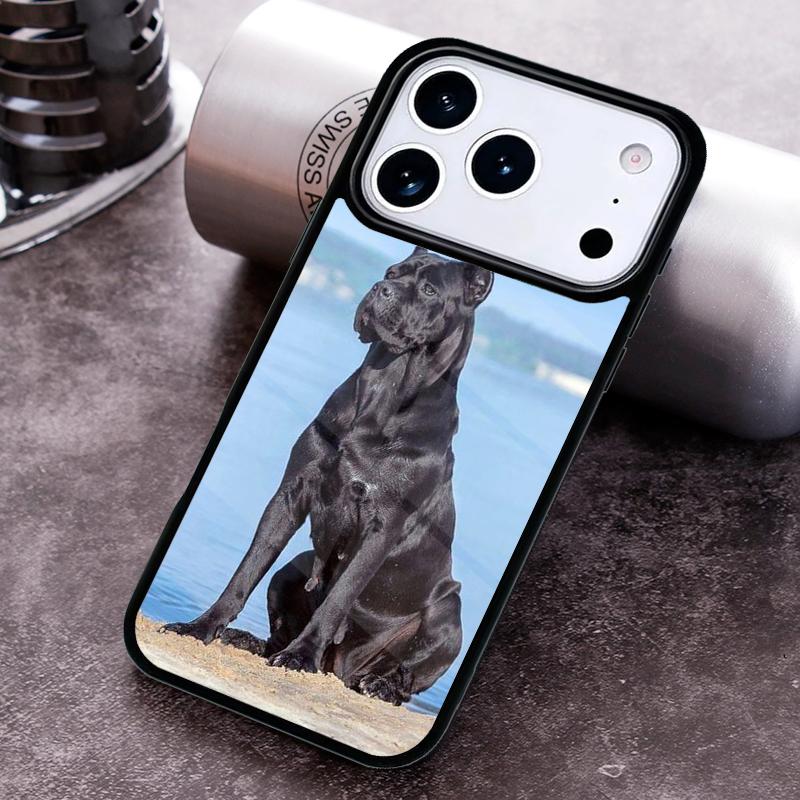 Italian Cane Corso Mastiff Dogs Phone Case for iPhone 17 16 15 Pro Max Air 14 13 12 11 Plus Shockproof Cover