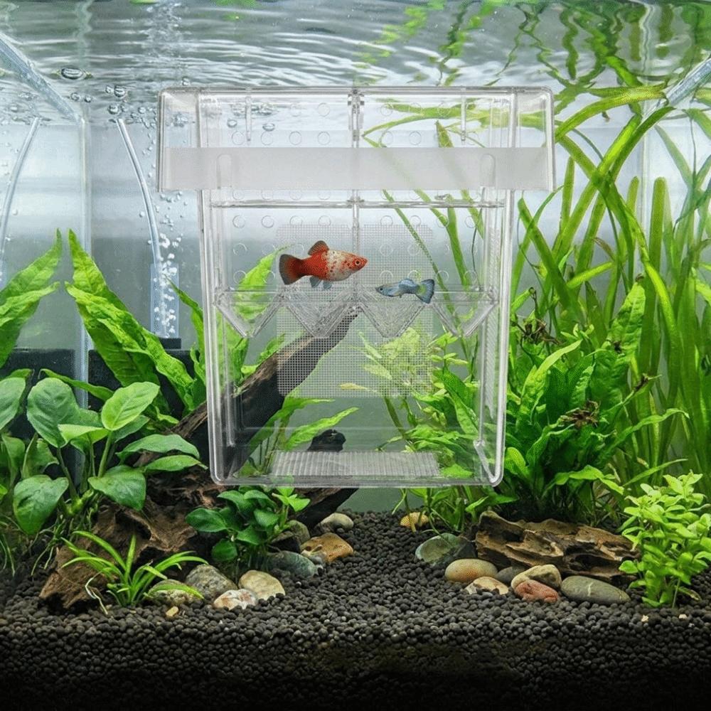 Detachable Fish Breeding Isolation Box Floating Guppy Breeder Box Fish Tank Divider Aquarium