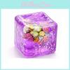 Bone King Ocean Shell Stress Toy With Slow Rebound For Kids And Adults
