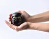 Gin-Yado Black Daruma Figurine by Engaku Daishi, Takaoka Copperware (Daruma BL)