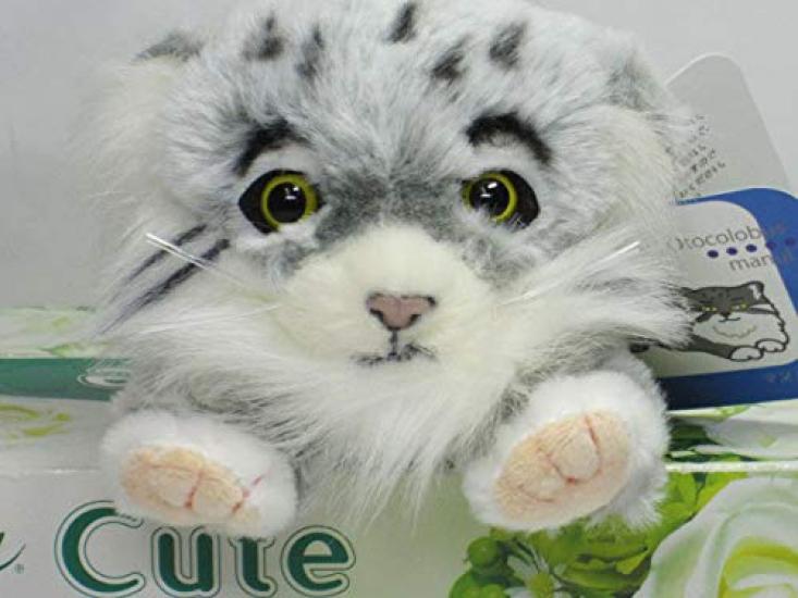 

Take Off Manul S