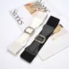 Leather Wide Waist Seal Decoration Versatile Ins Style with Dress Suit, Elastic Stretch Pin Buckle Belt Coat Belt