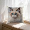 Cat Face Pillow Case White With Blue Eyed Cat Print For Home Decor And Window Seat