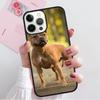Staffordshire Bull Terrier Staffy Dog Phone Case For iPhone 17 Air 15 16 Cover  14 13 Pro Max 12 11 Pro Max Max Plus